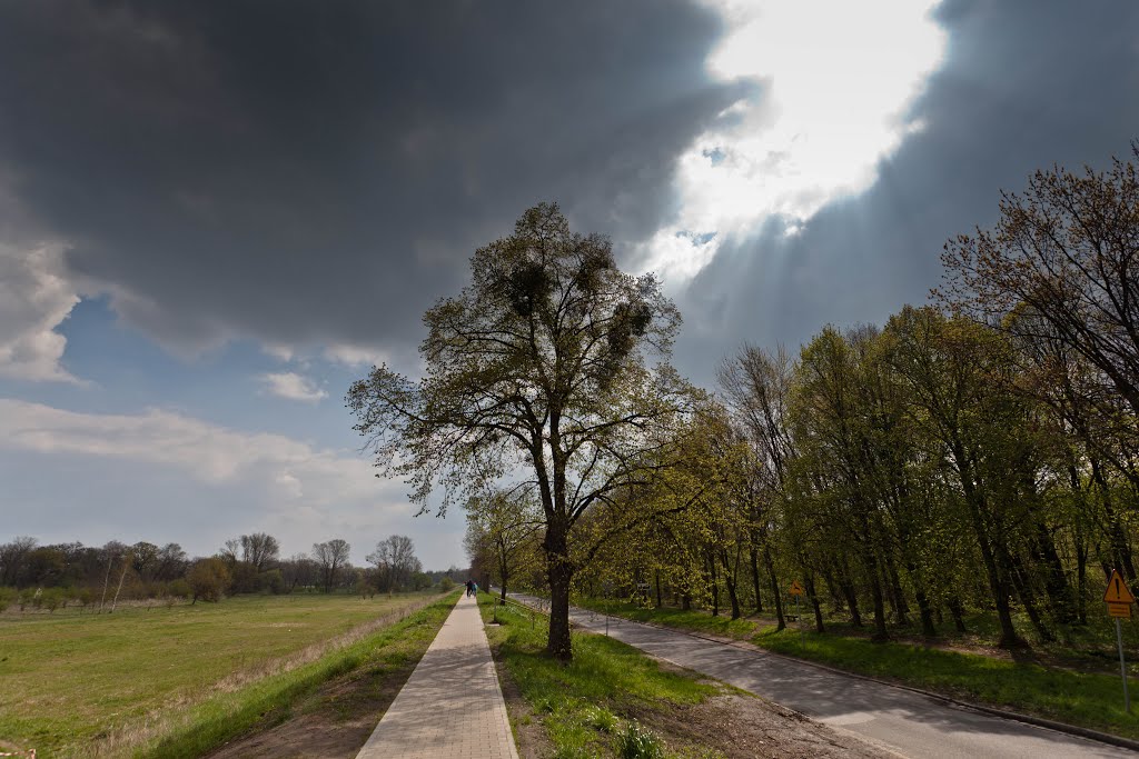 Nowa ścieżka rowerowa wzdłuż ulicy Międzyrzeckiej na Niskich Łąkach by cacuskrupka