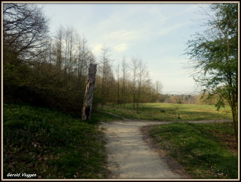 Brunssummerheide....2014 by Gerold Vluggen