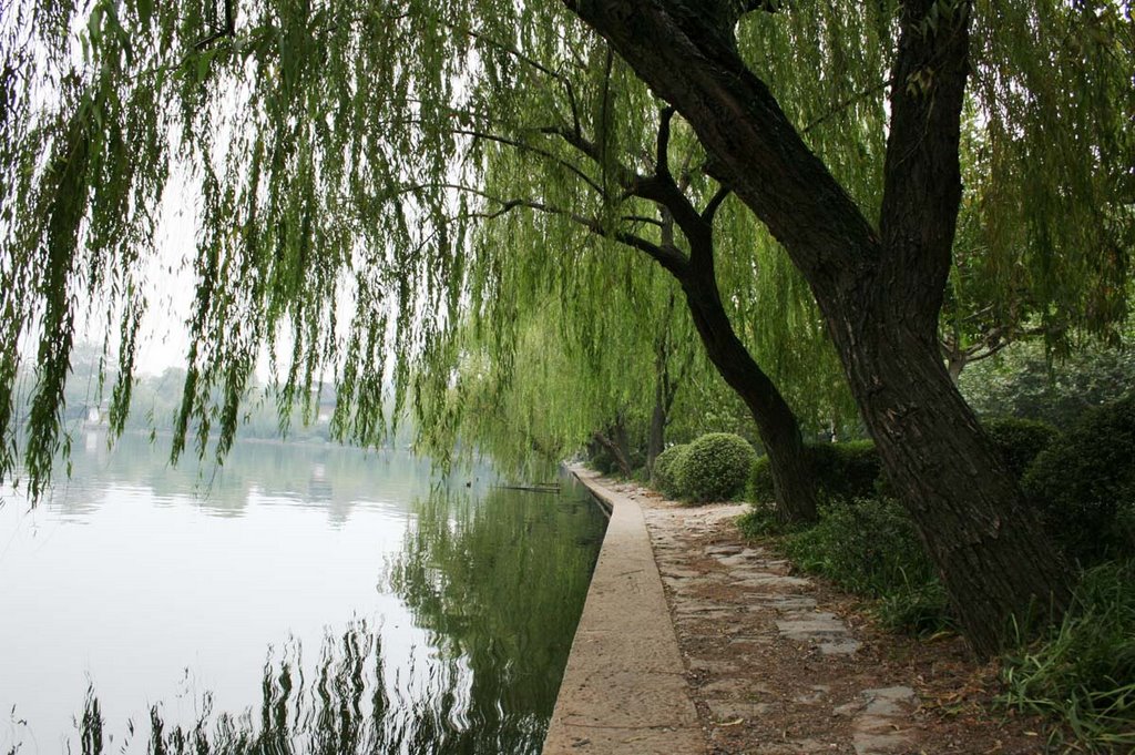 Hồ Tây Hàng Châu (West Lake Hangzhou) by nguyen thanh vinh