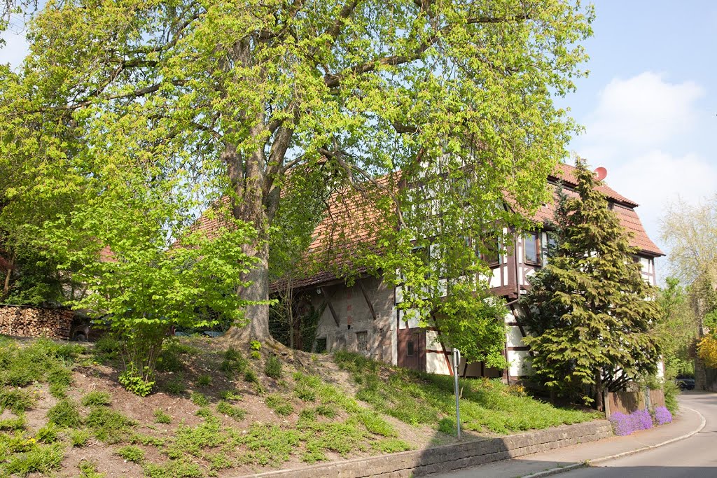 Rietenau Hauptstraße Tordurchfahrt von vorn by Margarete Hartert