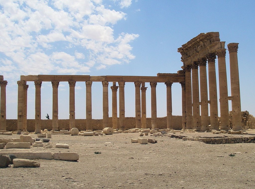 Palmyra (Siria) by J EP