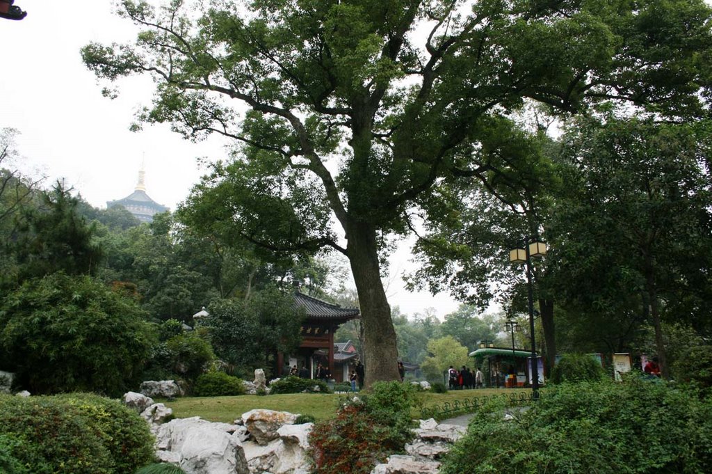 Hồ Tây Hàng Châu (West Lake Hangzhou) by nguyen thanh vinh