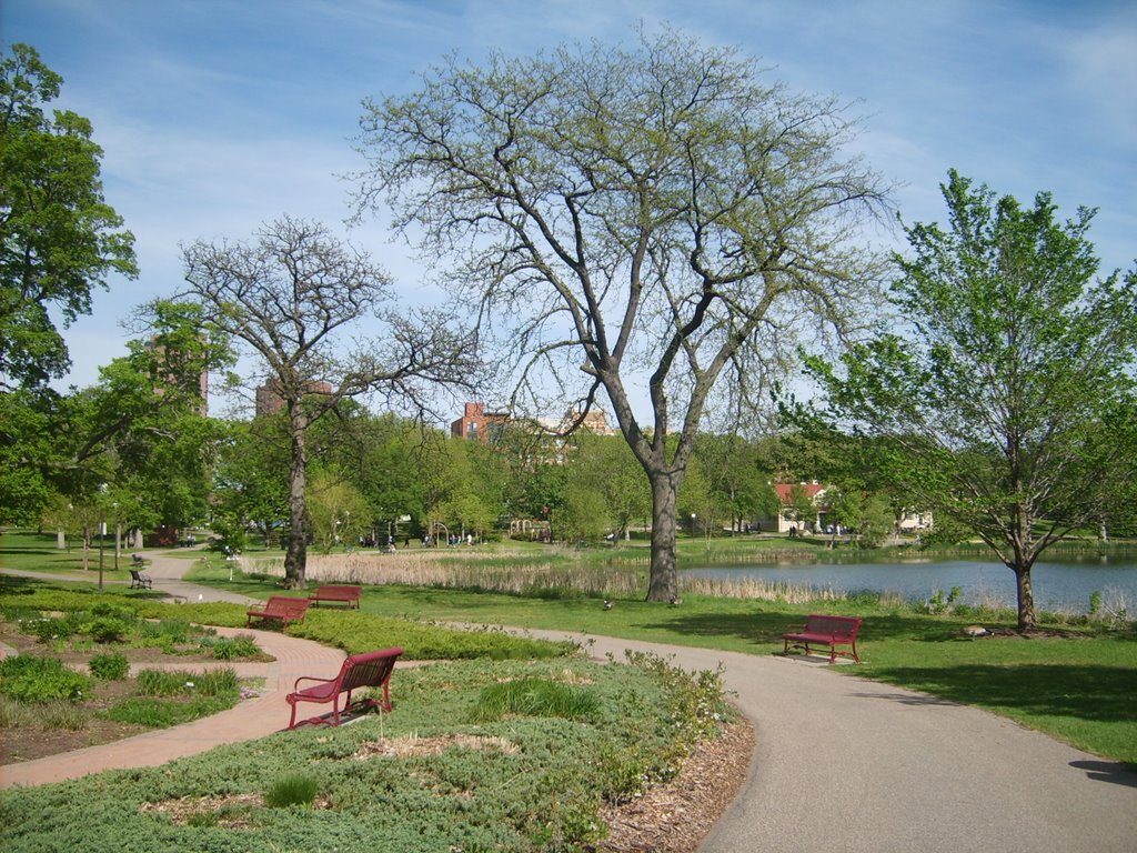 Loring Park, Minneapolis MN by nkovac1