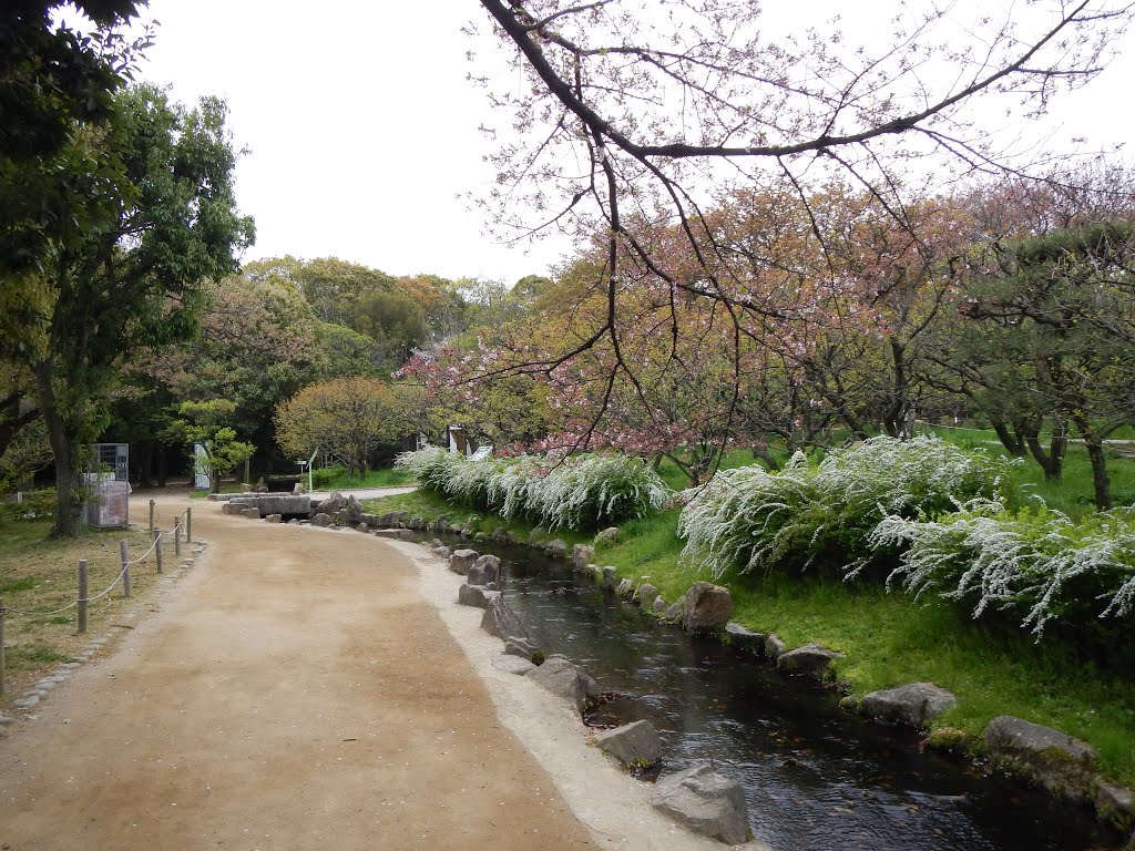 万博記念公園2014年4月 by mariemon