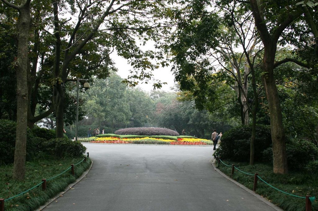 Hồ Tây Hàng Châu (West Lake Hangzhou) by nguyen thanh vinh