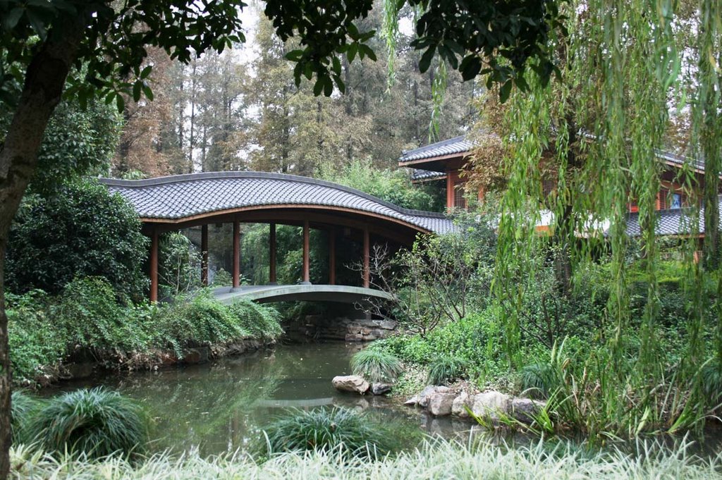 Hồ Tây Hàng Châu (West Lake Hangzhou) by nguyen thanh vinh