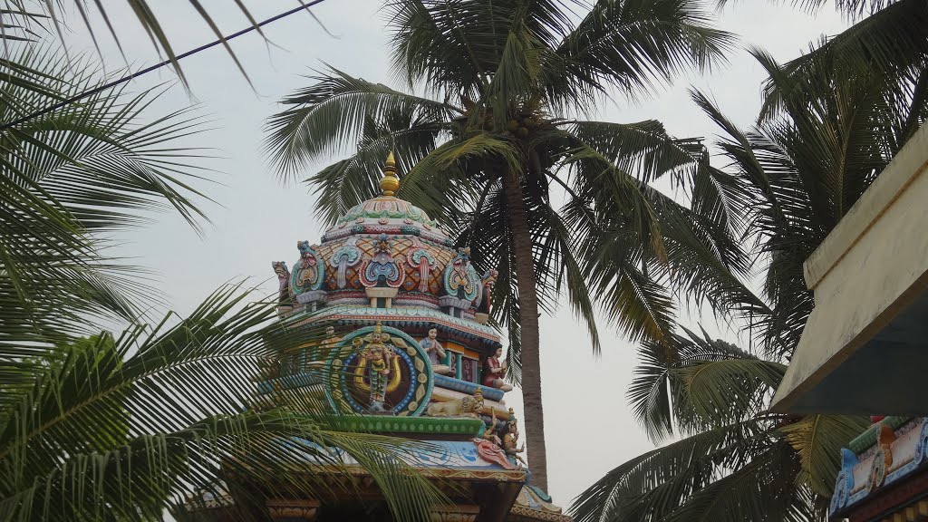 Sri Navadurga Temple, Mahaarajapuram by Selvam.P