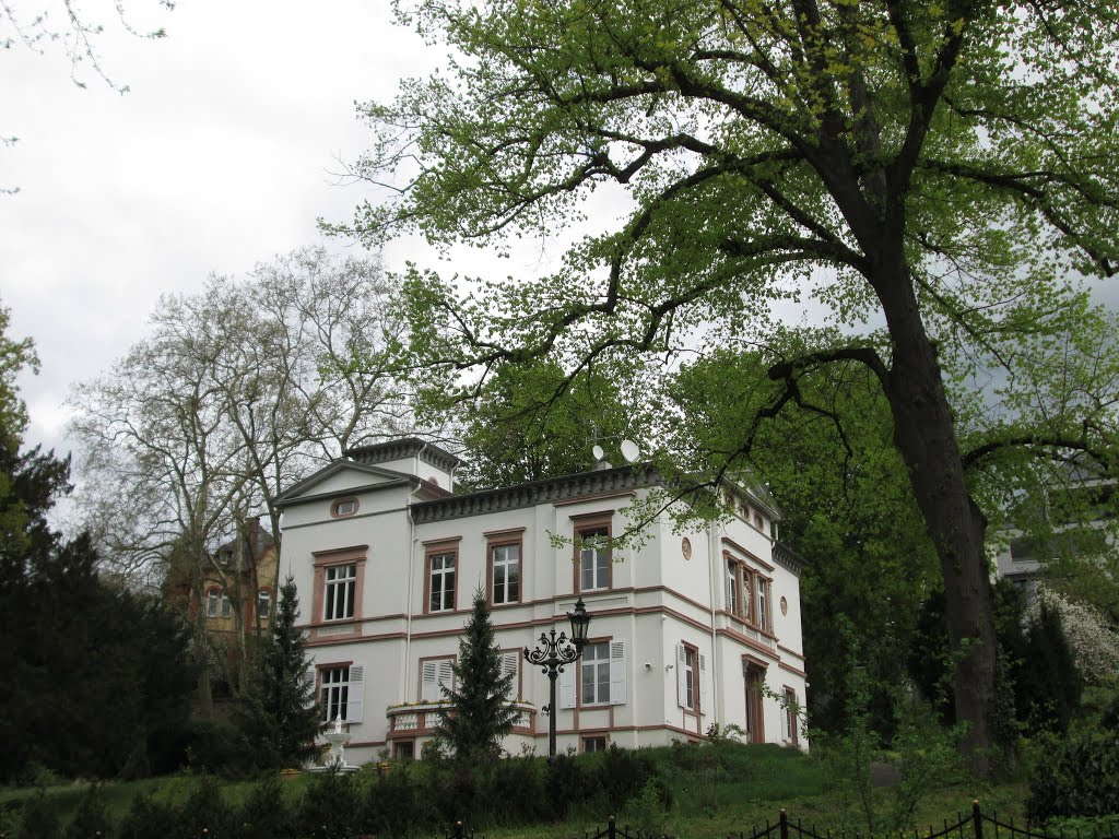 Villa Wiesbaden by M´eeralgues Aquârelémell