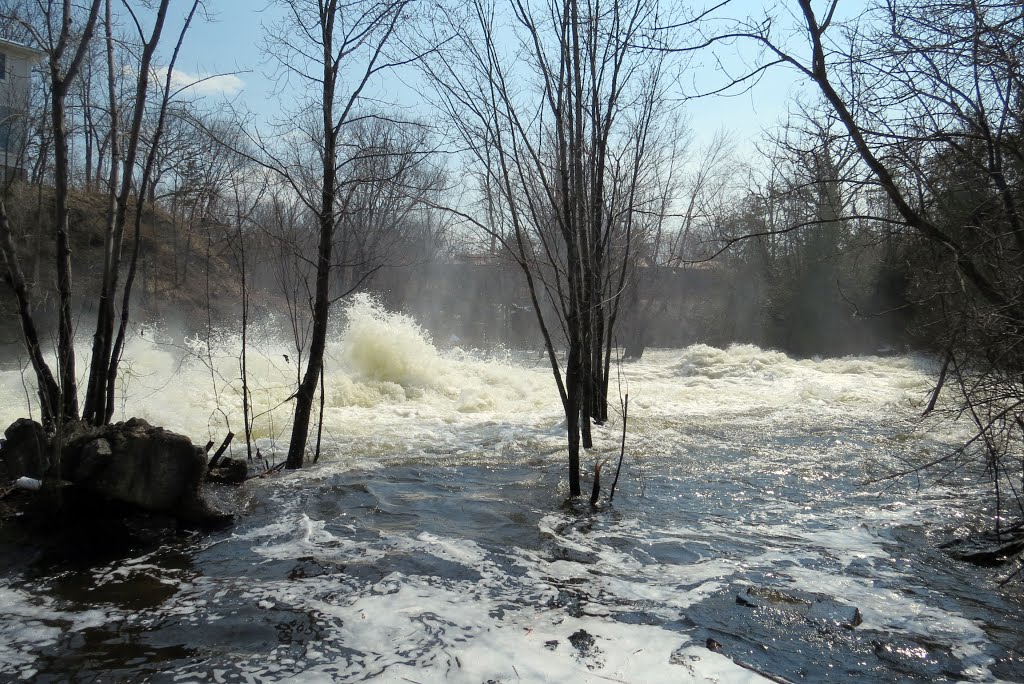 Below Simcoe Falls. Mid April at peak spring run off. This a clear day, it is spray, not fog above the water. The water is going so fast, that it is a metre or more higher on the right side than the left, as the water does a sharp turn. By late summer it dries out. by Steve Manders