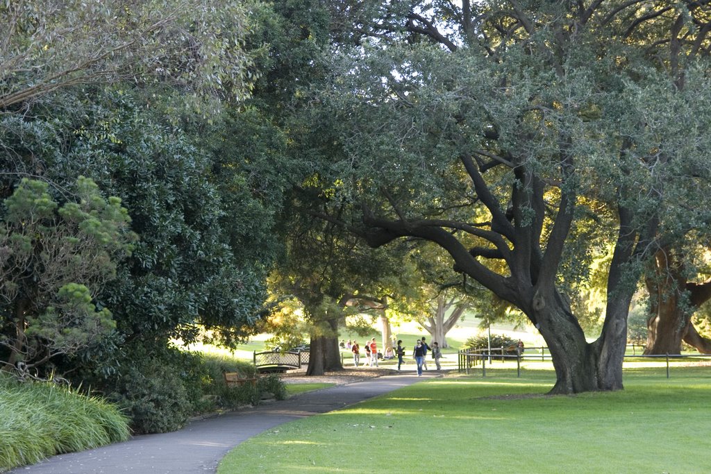 Sydney botanic garden by Maksym Kozlenko