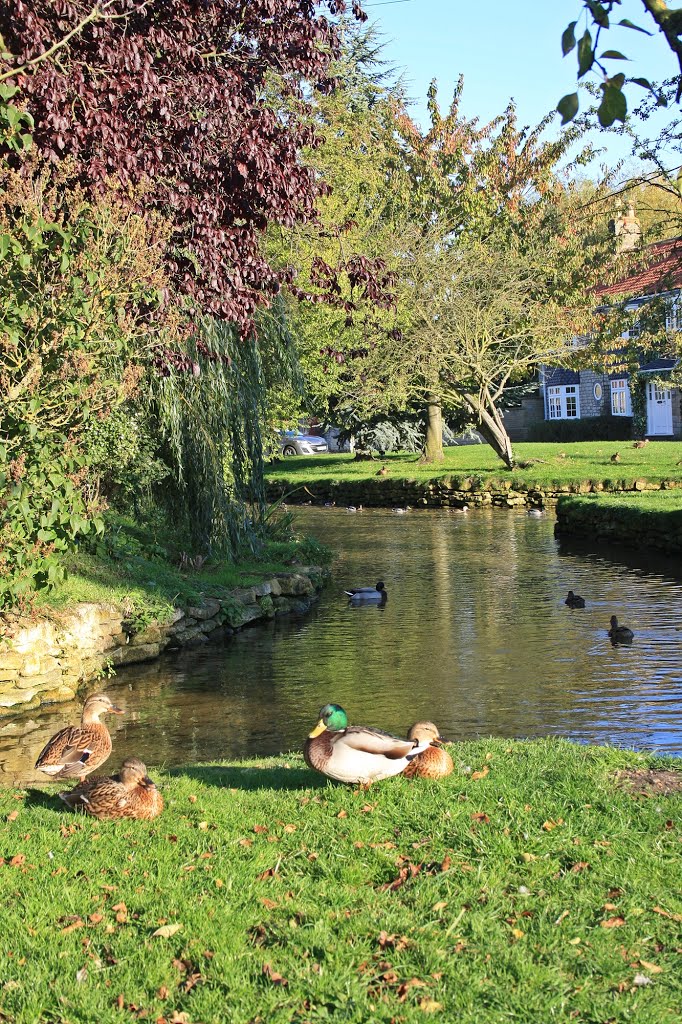 Down by the river in Scopwick by Steve. D