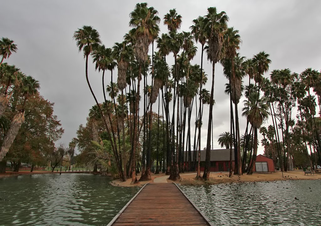 Rain at Fairmont Park by www.PhotographersNature.com