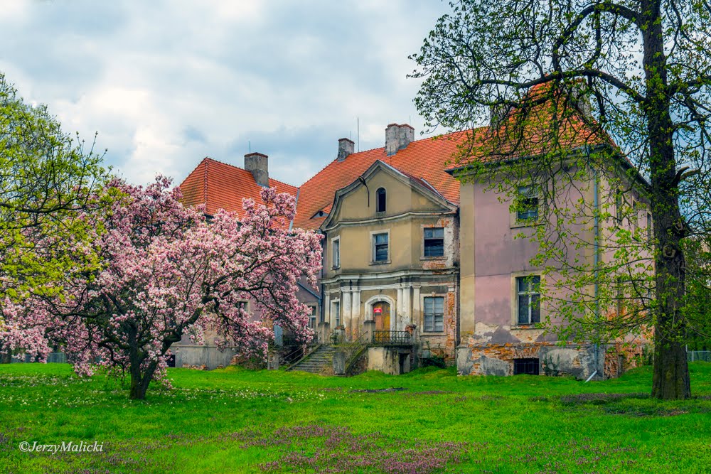 Pałac w Kargowej by Jerzy Malicki