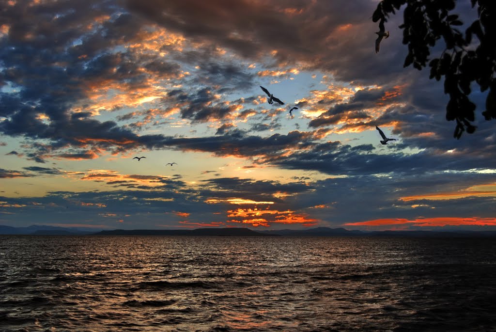 Владивосток. Амурский залив. Vladivostok. Amursky Bay. by Veniamin Manuylov