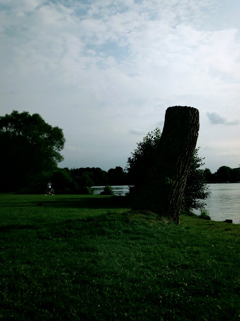 Abgesägter Baum am Ufer 2013 by Bilder aus Lübeck und Umgebung