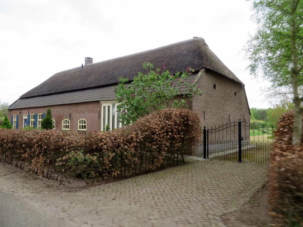 NL - Heeswijk Dinther - Heibloemsedijk by Danny Danckaert