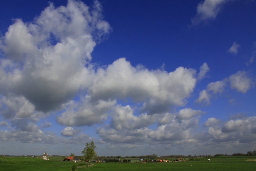 Buurtschap Den Oord binnendijks aan de Lekdijk behorende bij Wijk bij Duurstede, by watersnip