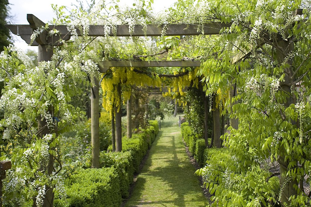 The Long Pergola, Heale Gardens by WanderingUK