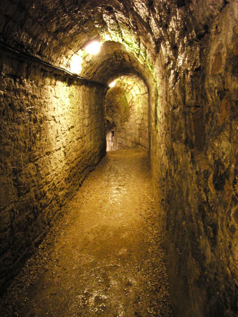 Le Chemin de Geole dans la Forteresse de Sedan by Francueil