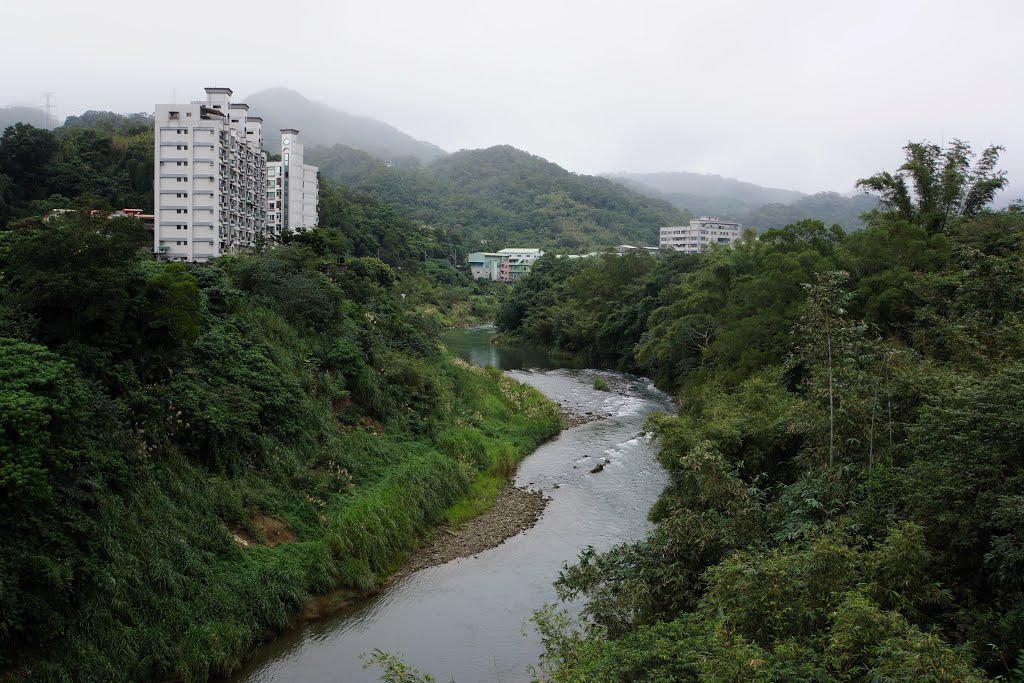 Jingmei River 景美溪 by deekew