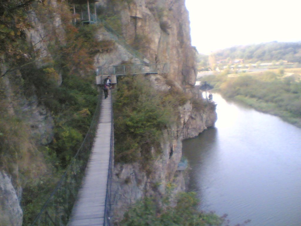 A rope bridge on hushan 10-2006 by wang bing