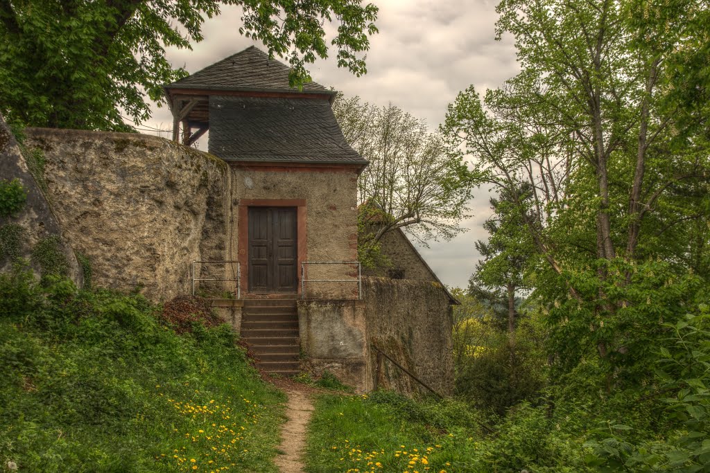 Schloss Lichtenberg by schnauzerfreund