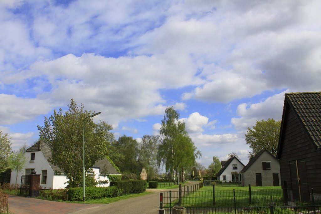 Landelijk Achterberg. Achterberg een uitgestrekt dorp even boven Rhenen. by watersnip