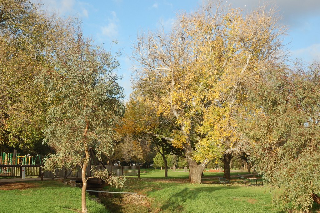 Autumn trees over creek at King Post Truss Bridge by Darcy O'Shea