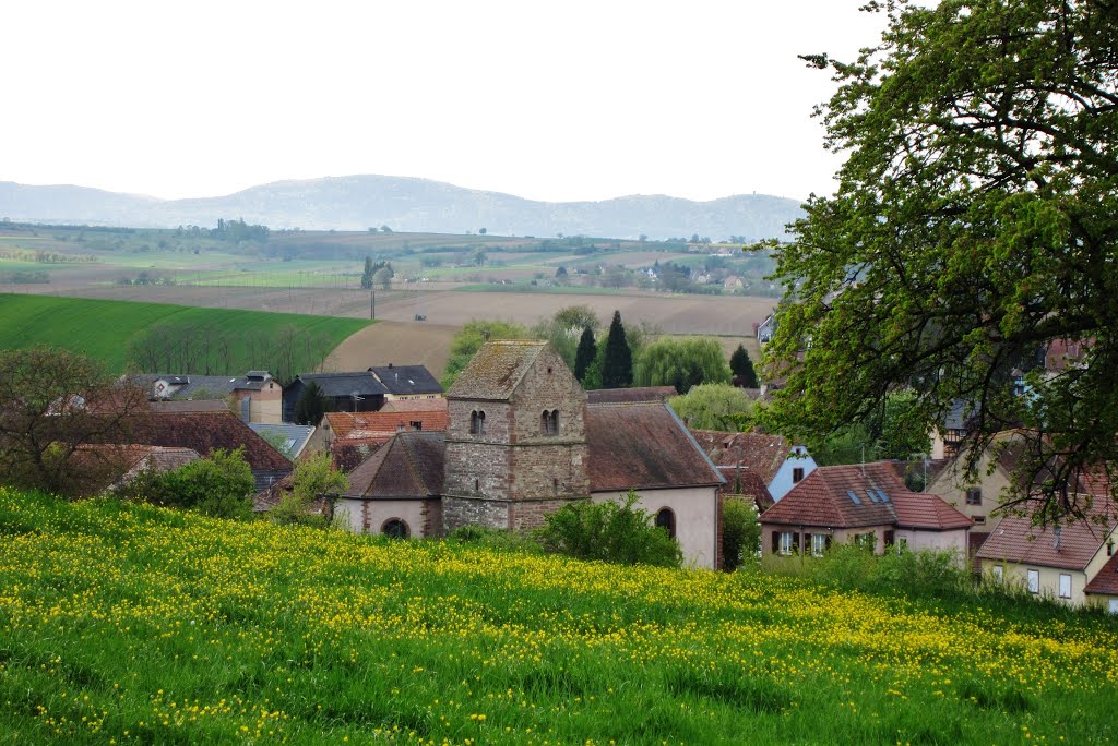 Zeinheim (F-67), vue sur le village et son église by Pierosso