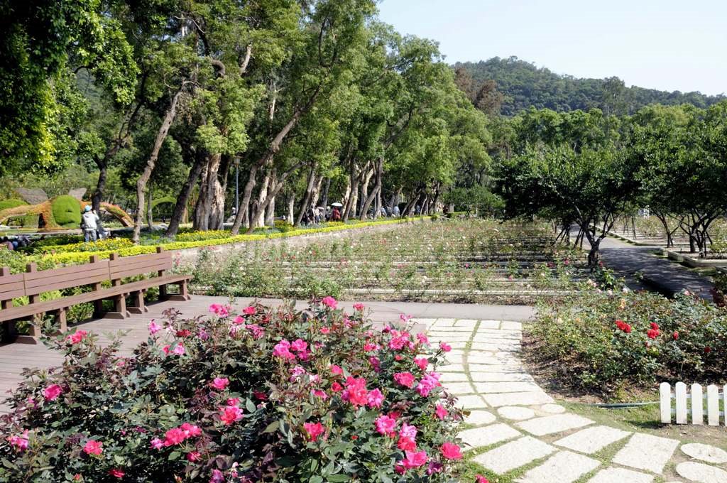 Shilin Guan Ti - Rose Garden by sweetman Kim