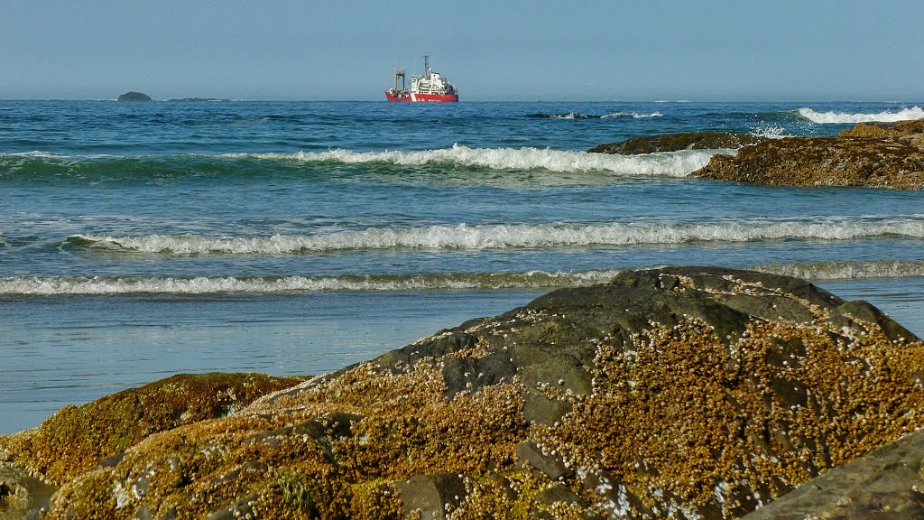 Off North Chesterman Beach... by frtzw906