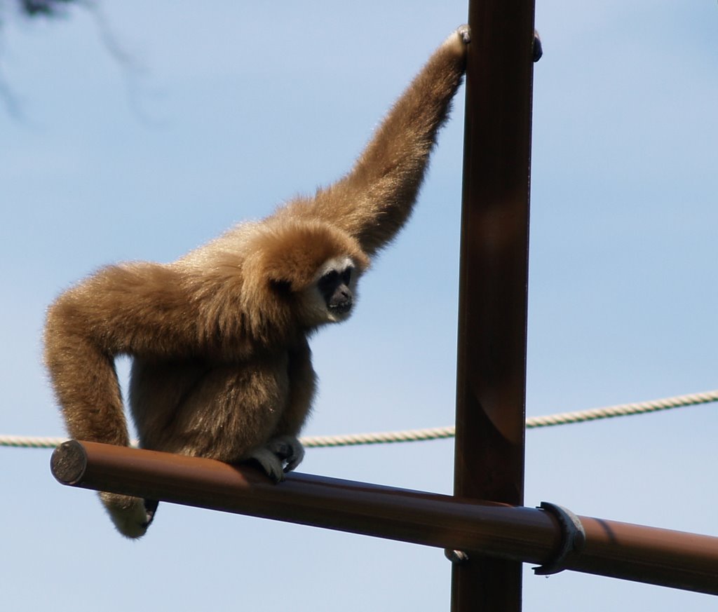 Zoo København by Finn E Jørgensen