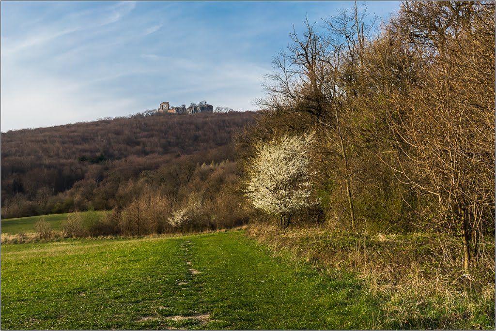 Zrúcanina hradu Pajštún by lacow