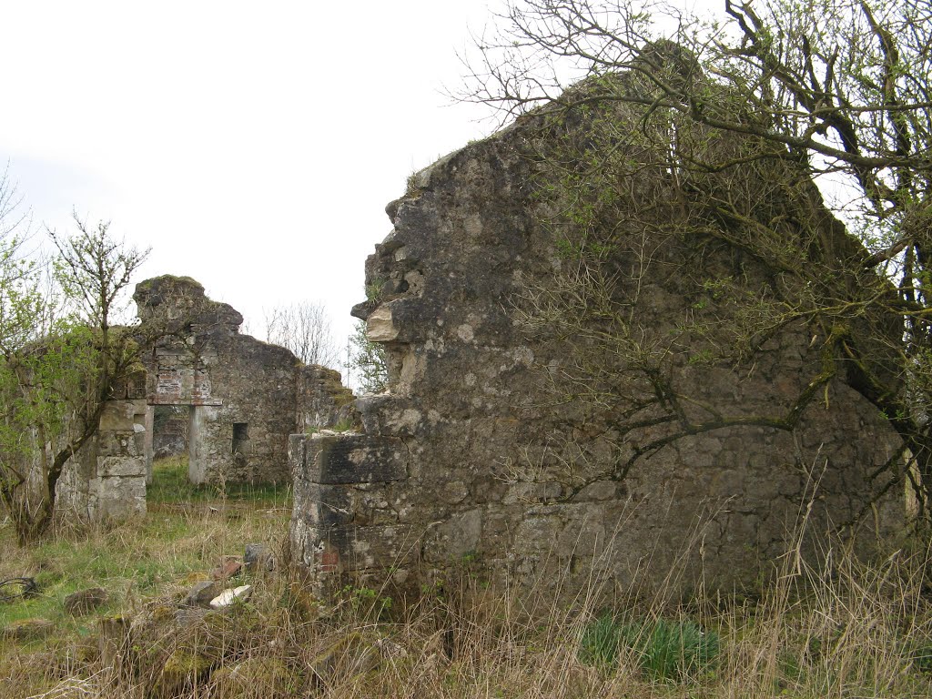 Saughs Farm building by alfaetrin