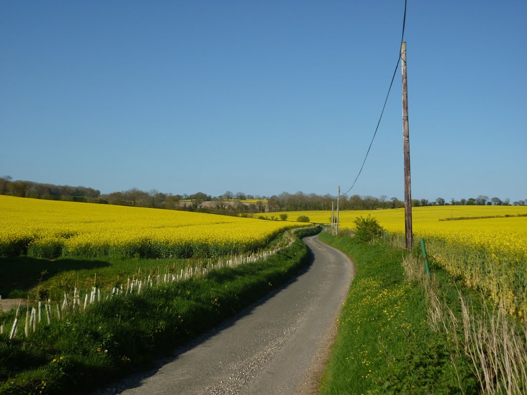 13-04-2004. Green Lane, Hambledon. by RedRobbo