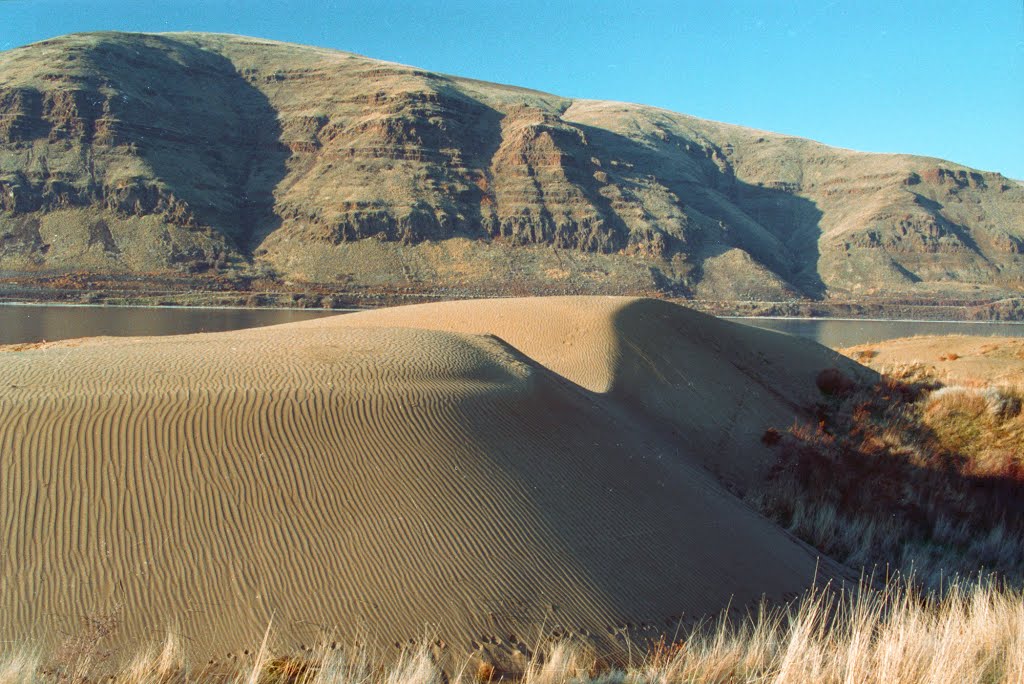 01-02-01: sand dune by dsdugan