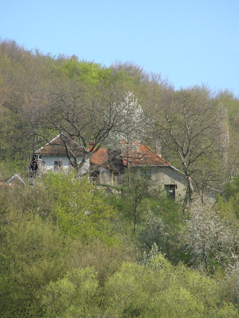 Jedlové Kostolany osada Modoš by Marek Marian Belica