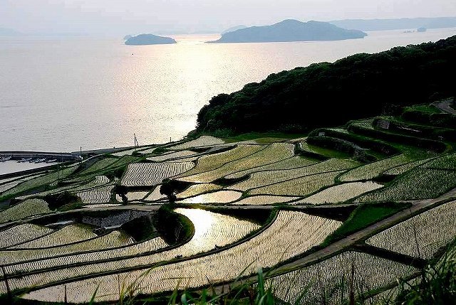 Terrace paddy field by 道下保