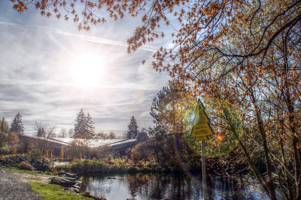 Sonne übern Kurpark by ☼❄ bergkristall ❆ ☼