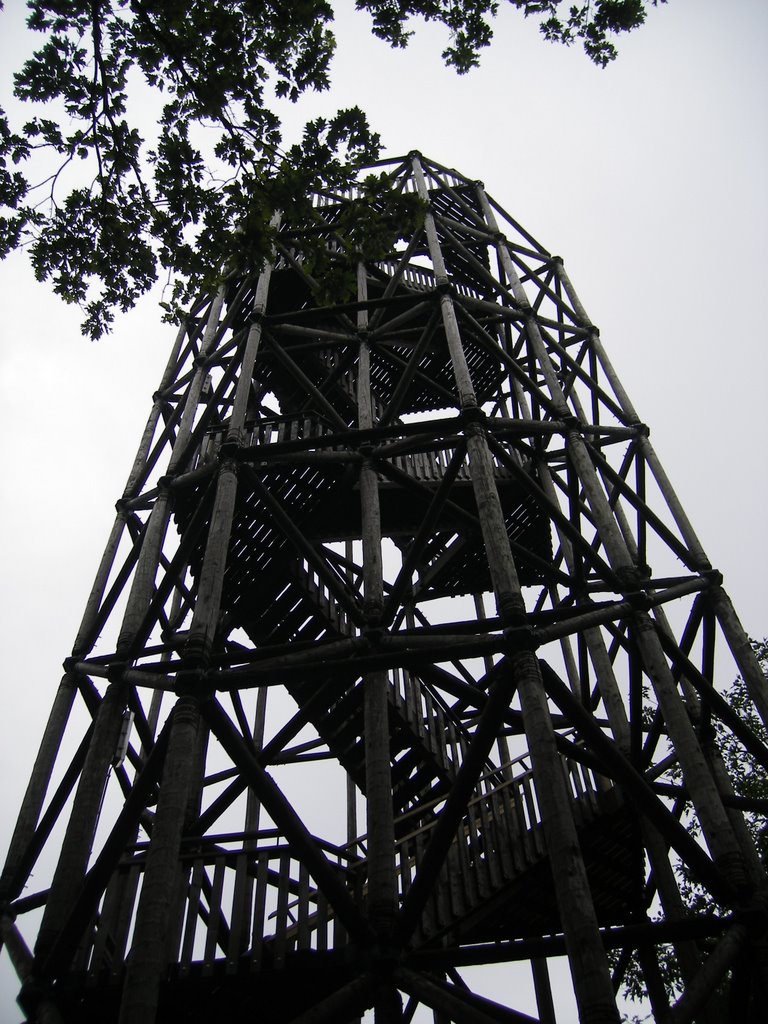 Park Berg en Bos, Apeldoorn, Netherlands by Marcel Klijnhout