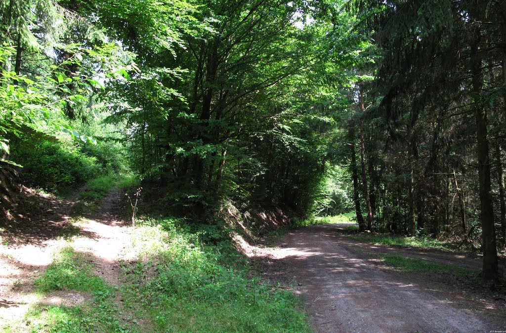 Bei der Abzweigung des Fuhrwegs runter zur Ottenmühle (re.) by lebola