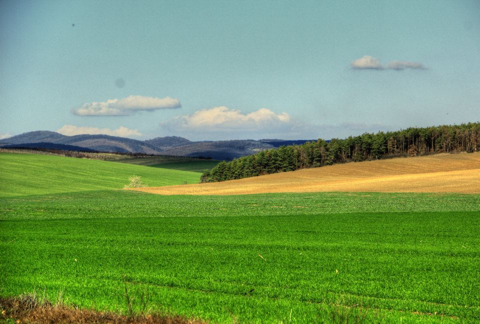 2014.03. Cserépfalu közelében Tavasz by Géczy István