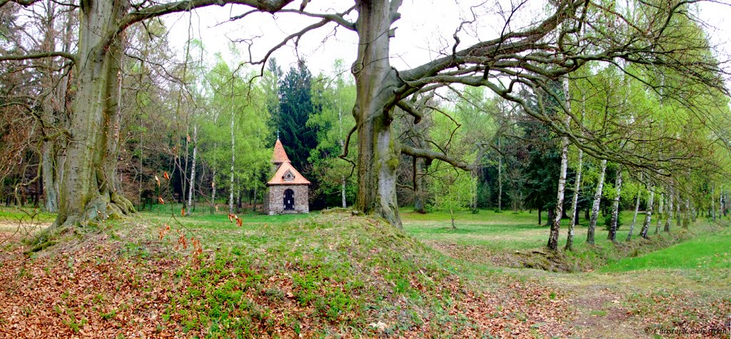 Březina - zámecký park (Schlosspark Brzezina) by ChristophBieberstein