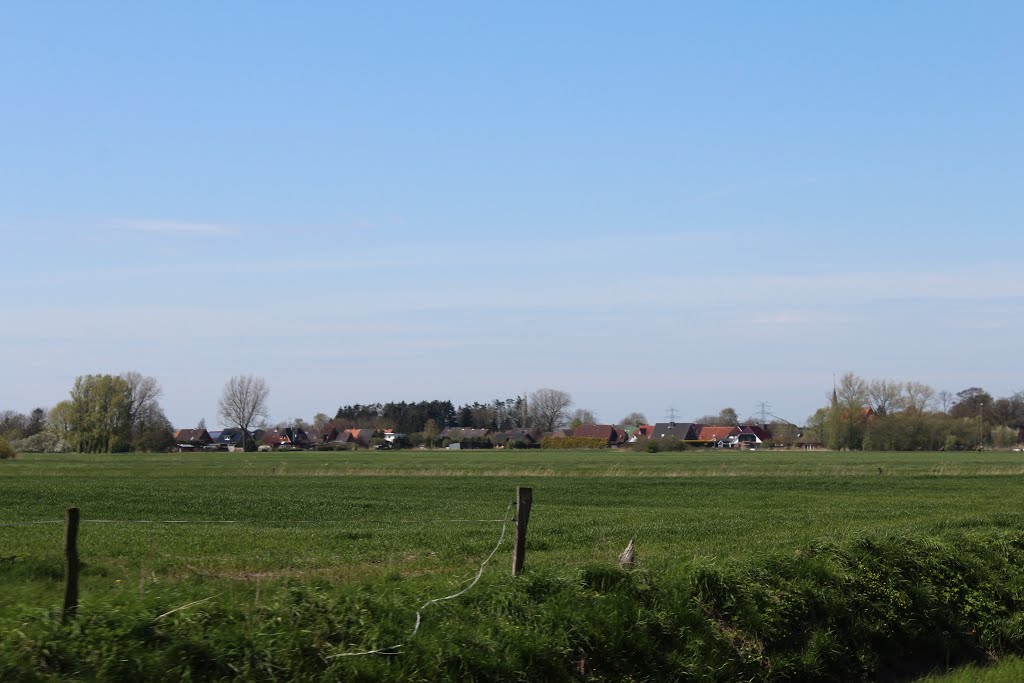 Beidenfleht an der Stör by Frauke Feind