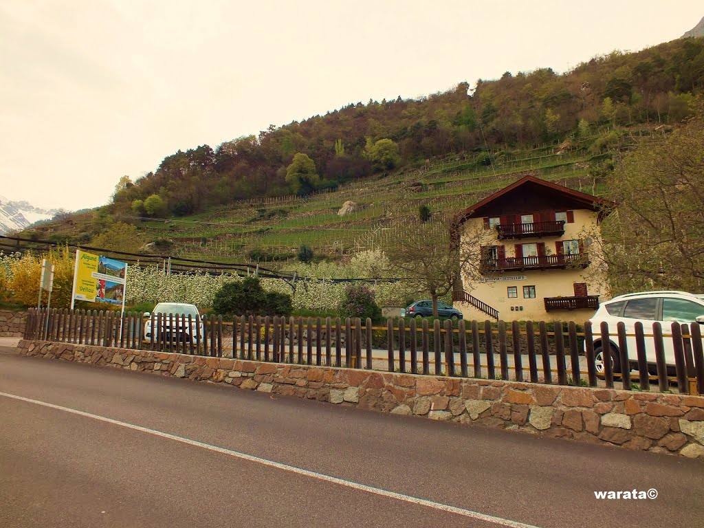 Algund (i) (Lagundo) in Südtirol – Mitterplars > Im Ort gesehen … Algund (i) (Lagundo) in Südtirol – Mitterplars > Im Ort gesehen … an der Talstation Vellau Sessellift by warata