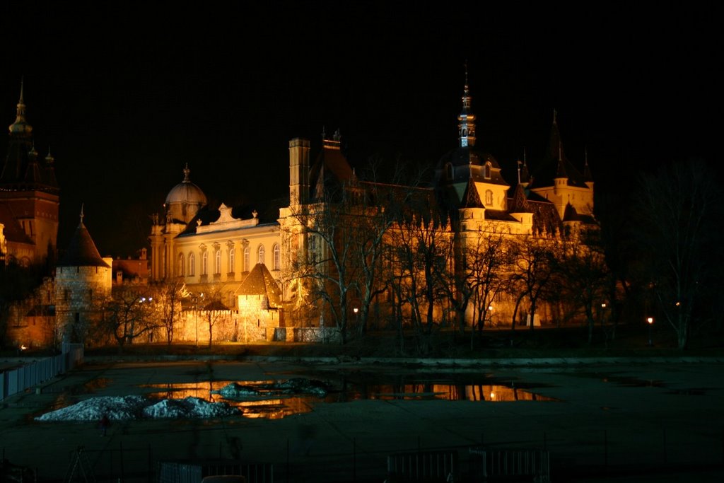 Vajdahunyad Castle in City Par, Budapest at night by MBagyinszky