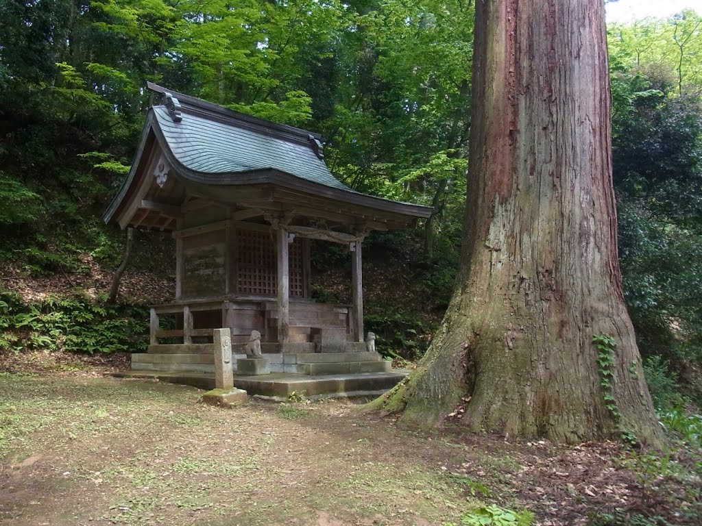 岡太神社奥の院 by masayuki  k