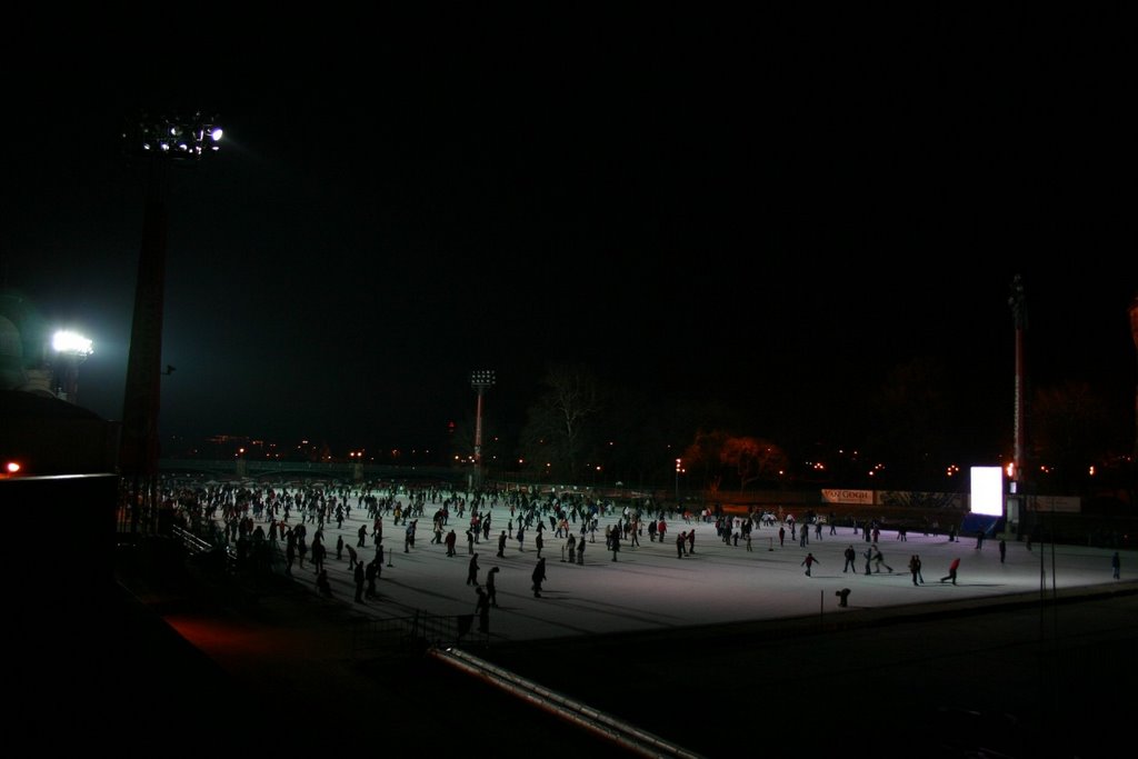 Skating-rink at Vajdahunyad Castle at night by MBagyinszky