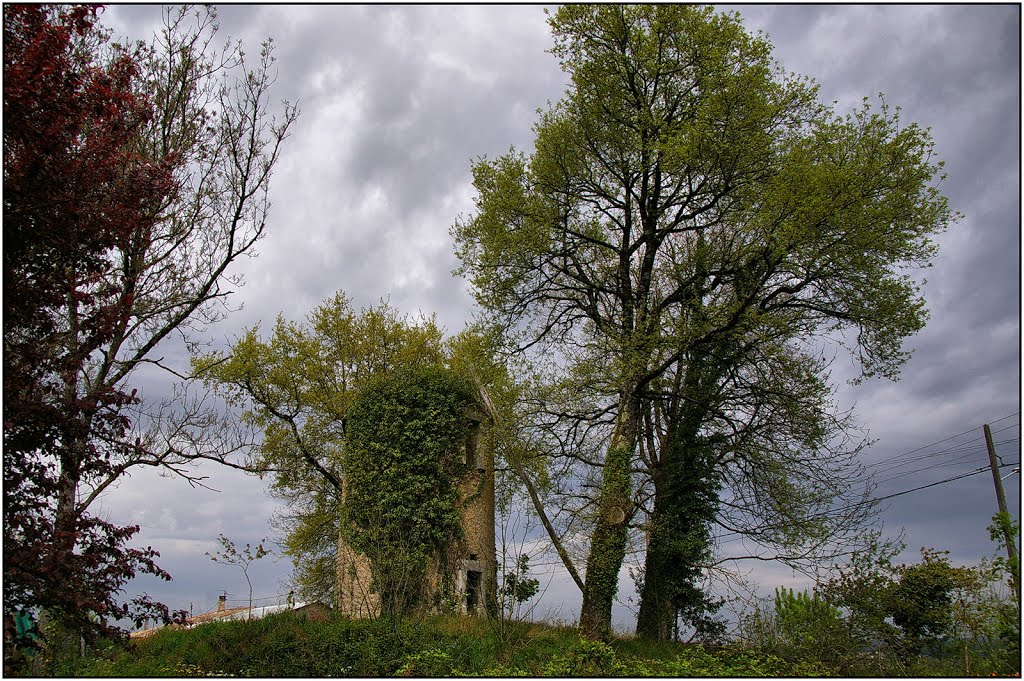 CHAMOUILLAC [17] - Moulin à vent arboré (avril 2014) by Michel Chanaud