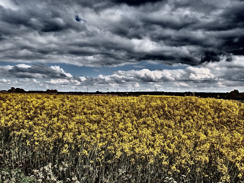 Langford Wind Farm by Simon Franks